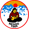SAFOG NESOG International Conference 2026